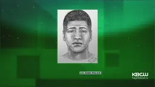 Suspect Sketch Released In San Francisco Pokemon Go Murder
