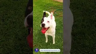 Sia 🐾💖