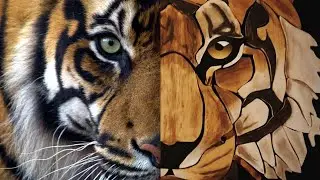 tigre intro
