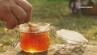 Home Remedies for Cat Cough