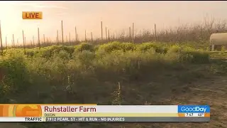 Ruhstaller Farm