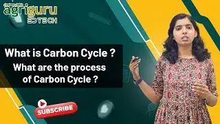 Carbon Cycle|Biochemical cycle| Process of Carbon Cycle |PSC| Farm Assistant| Agri Assistant|