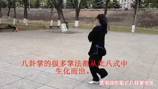 傳統老八掌