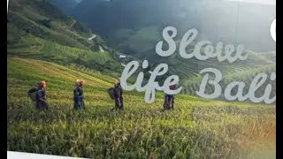 You Will Feel Calm After Watching This Bali Village