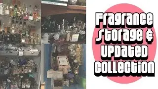 Fragrance Storage and Updated Collection 250+ Bottles | Niche, Luxury, Designer