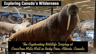The Captivating Wildlife Display #wildlife
