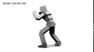 3D Animation training BOXING : FIGHTING POSE