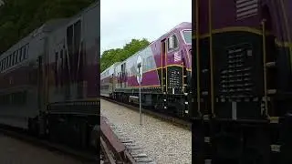 HSP46 vs. F40PH-3C