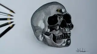 Drawing a Realistic Silver Skull
