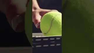 Are you a padel fan?