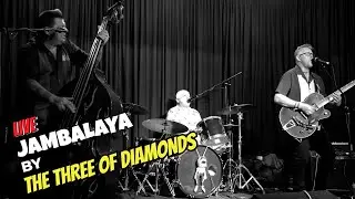 Jambalaya (On The Bayou) live - Pure rockabilly magic from The Three Of Diamonds