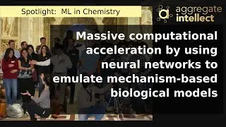 Massive acceleration by using neural networks to emulate mechanism-based biological models