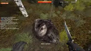 S.T.A.L.K.E.R. Anomaly Ex Duxs 0.9 Beta. ЗА ОДИНОЧЕК. ИНТЕРАКТИВ. 16+
