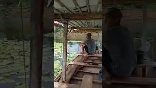 mancing mujahir di danau kampungku (mancing danau)
