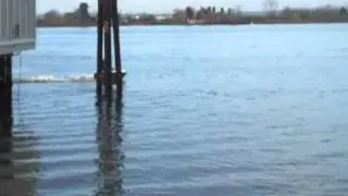 Short BOB Hull Video