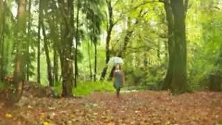 Little Bridge