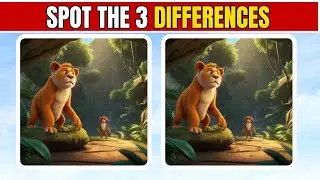Spot the 3 Differences in These Fun Puzzles | Visual Challenge | Quiz4 Universe