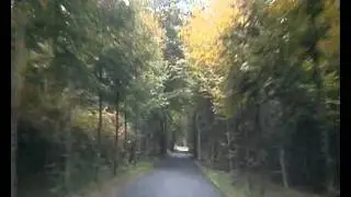 Le chemin du silence