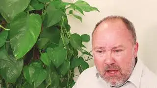 Andy Plant's Head of Education explains his role supporting foster carers and children in care