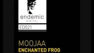 Enchanted Frog [Original Mix]