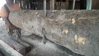 Large Wood Cutting Tough Jobs at Sawmill | Biggest Size Wood Cutting | Heavy Wood Cutting