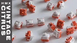 Vintage Citrus by HMX x XLLAB