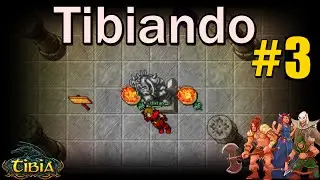 Tibiando #3 | Plains of Havoc | Zonas de caza