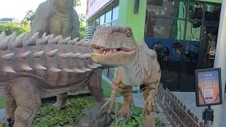 Outdoor Fun Activities for Kids | Outdoor Fun | Kids Video