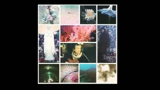 Septiles - To The Light