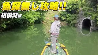 カバー狙いで連続バイト！5月の相模湖攻略。