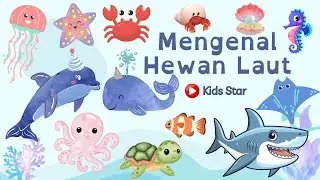 BELAJAR MENGENAL NAMA NAMA HEWAN LAUT | LEARNING SEA ANIMALS NAME | OCEAN ANIMALS NAME BINATANG LAUT
