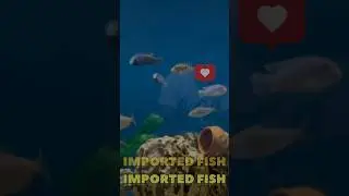 Imported Fish Tank With Multiple Heaters to Control Water Temperature || Full Video live tonight