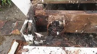 Dry Rot Repair In San Diego