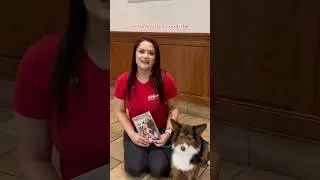 Bringing home a puppy this New Year?