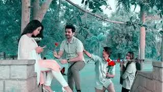 Rose Proposal Day Special Whatsapp status