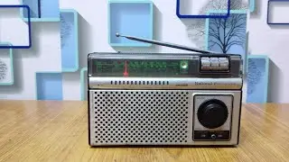 Natinal Panasonic R234 sold