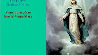 Marian Reflection 4th Glorious Mystery