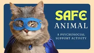 Psychosocial Support Activity #Safe Animal