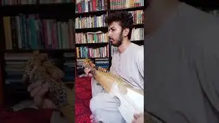 Allah hu Allah/ Bya k borem Ba mazar [Rabab cover] by Ali Khan Yousafzai #rababimalang #rabab