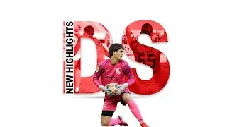 Dimitrije STEVANOVIC ● Goalkeeper ● season 2024