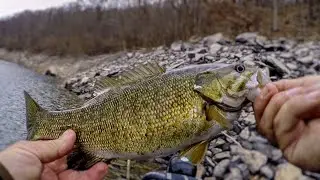 Winter Smallmouth Bass Fishing (Precious Gold Blade Baits in Cold Water)