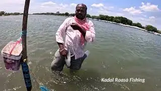 A Group Women Power in Fishing 🎣 | Bottle Trap Mullet Catch Maida Bait