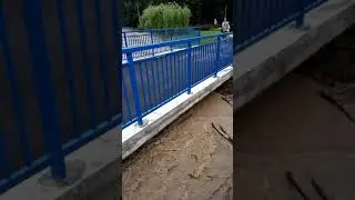 Na&scaron;ice - poplava kod Konzuma III 20.07.2021.