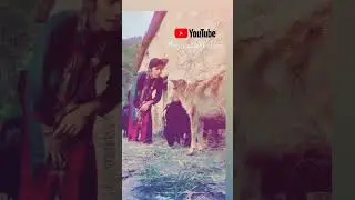 tair panchar#pahadilifestyle @uttrakhandi442 #@priyaaswalvlogs417