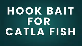 HOOK BAIT FOR CATLA FISH #jzangler #ustadranaqaisar