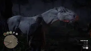 RDR 2 Live