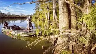 Fishing Cypress Trees for Bass: Tech Tips #8