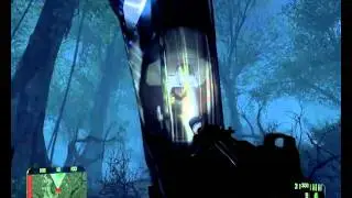 Глюк в Crysis