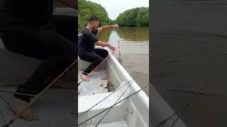 Pesca de ayer muchas tarus...