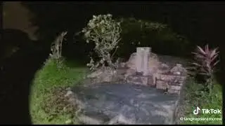venturing into bukit brown cemetry